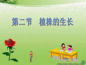 第二节植株的生长.(课件)精品教育.ppt
