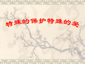 第八课　法律护我成长12精品教育.ppt