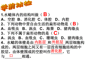 第二节线形动物和环节动物精品教育.ppt