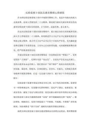 2023纪检监察干部队伍教育整顿心得感悟四.docx