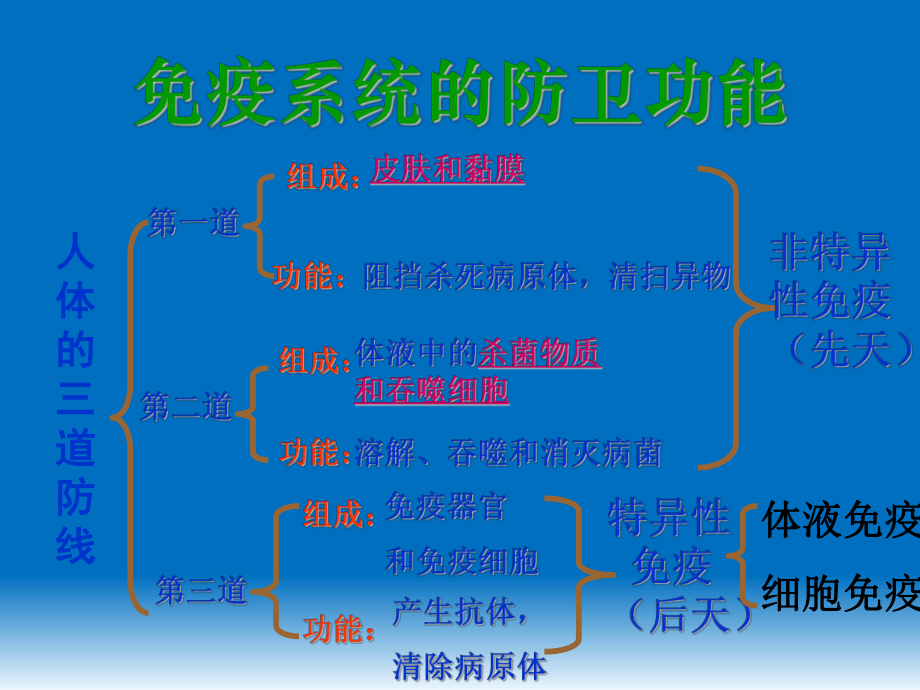 第二章第四节免疫调节精品教育.ppt_第3页