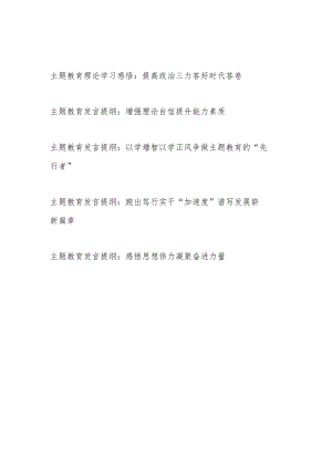 2023年县处级领导干部“学思想、强党性、重实践、建新功”发言提纲理论学习感悟共5篇.docx