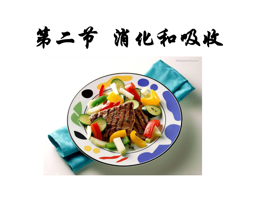 第二章第二节消化和吸收精品教育.ppt_第1页