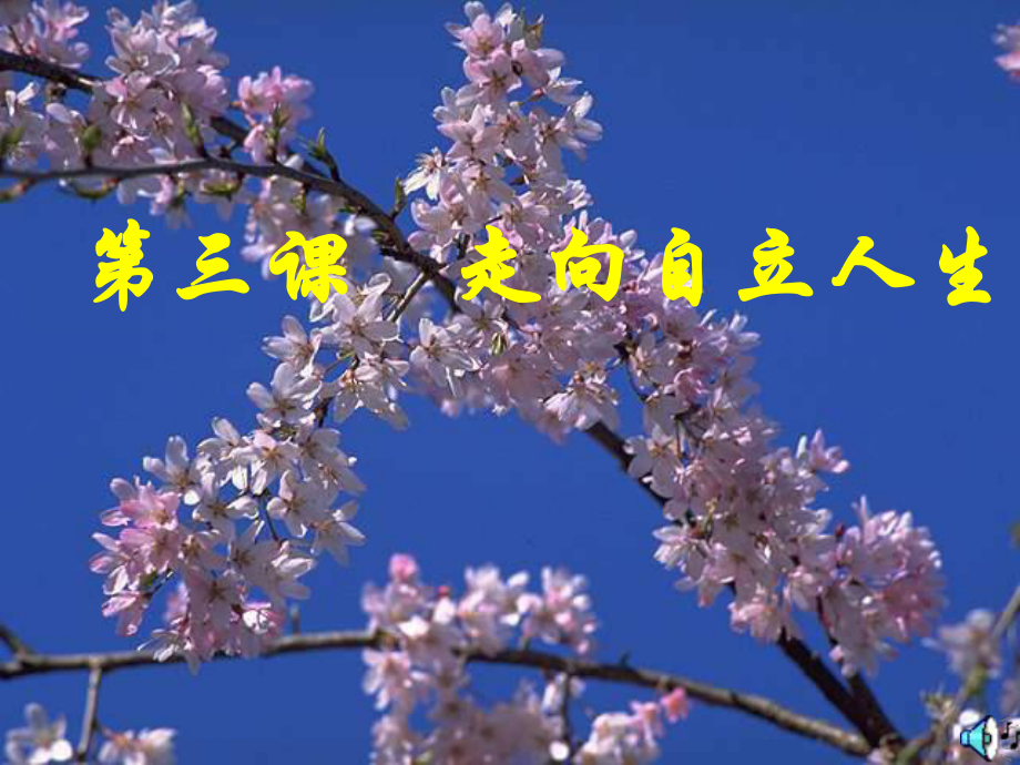 第三课走向自立人生精品教育.ppt_第1页