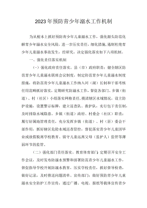 2023年预防青少年溺水工作机制.docx