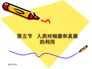 第五节人类对细菌和真菌的利用.ppt精品教育.ppt