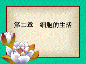 第二单元第二章第一节　细胞的生活需要物质和能量3精品教育.ppt