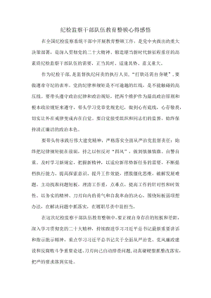 2023纪检监察干部队伍教育整顿心得感悟一.docx