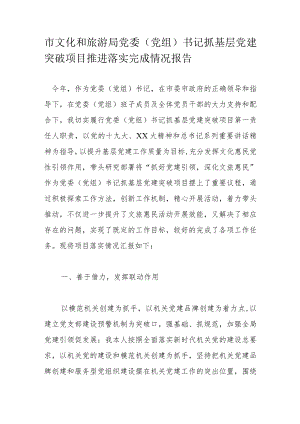 市文化和旅游局党委（党组）书记抓基层党建突破项目推进落实完成情况报告.docx