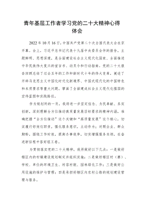 青年基层工作者学习党的二十大精神心得体会.docx
