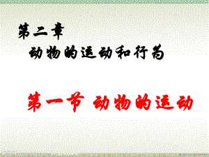 第二章第一节动物的运动精品教育.ppt