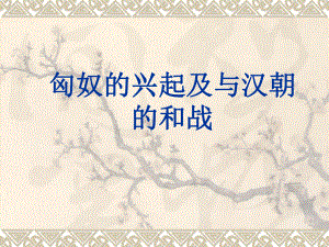 第十四课匈奴的兴起及与汉朝的和战已修改精品教育.ppt