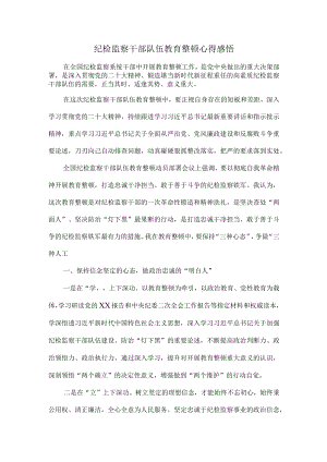 2023纪检监察干部队伍教育整顿心得感悟五.docx