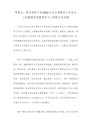 两篇文：党员领导干部2023年在主题教育工作会议上的重要讲话精神学习心得研讨发言稿.docx