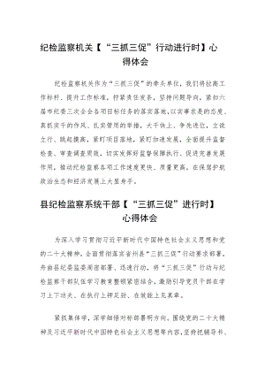 纪检监察机关【“三抓三促”行动进行时】心得体会3三篇通用范文.docx