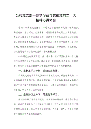 公司党支部干部学习宣传贯彻党的二十大精神心得体会.docx