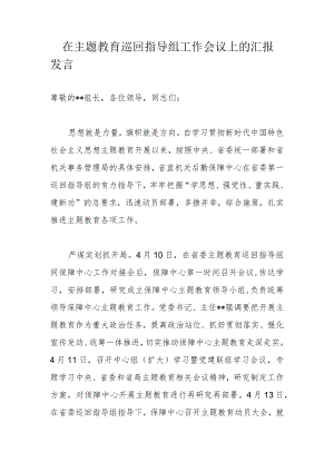 在主题教育巡回指导组工作会议上的汇报发言.docx