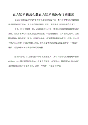 东方短毛猫怎么养 东方短毛猫饮食注意事项.docx