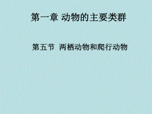 第五节两栖动物和爬行动物精品教育.ppt