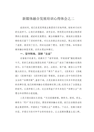 新媒体融合发展培训心得体会之二.docx