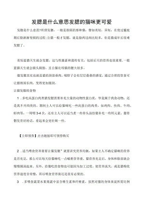 发腮是什么意思 发腮的猫咪更可爱.docx