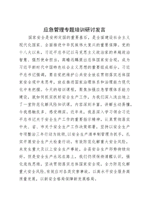 应急管理研讨发言.docx