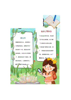 蒜苗成长观察日记.docx