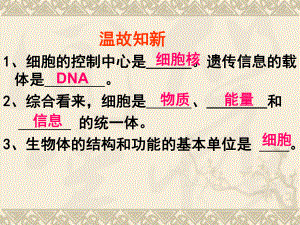 第二章第一节节细胞通过分裂产生新细胞精品教育.ppt