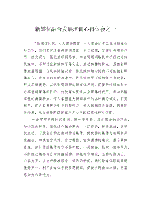 新媒体融合发展培训心得体会之一.docx