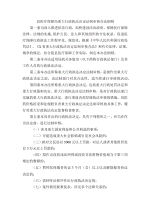县医疗保障局重大行政执法决定法制审核办法细则.docx