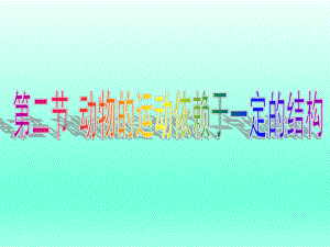 第二节动物的运动依赖于一定的结构精品教育.ppt