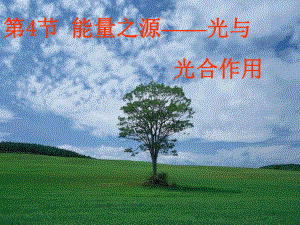 第三节能量之源——光与光合作用精品教育.ppt
