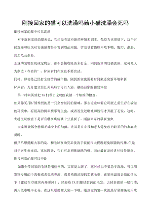 刚接回家的猫可以洗澡吗 给小猫洗澡会死吗.docx