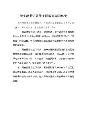 党支部书记开展主题教育学习体会.docx