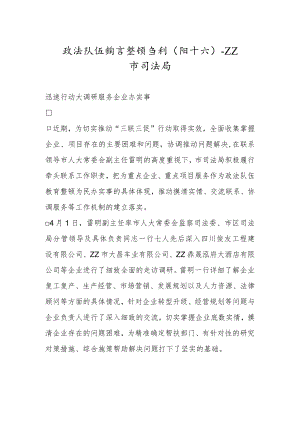 政法队伍教育整顿专刊（四十六）.docx