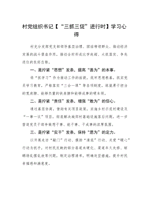 村党组织书记【“三抓三促”进行时】学习心得.docx