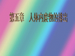 第五章人体内废物的排出精品教育.ppt