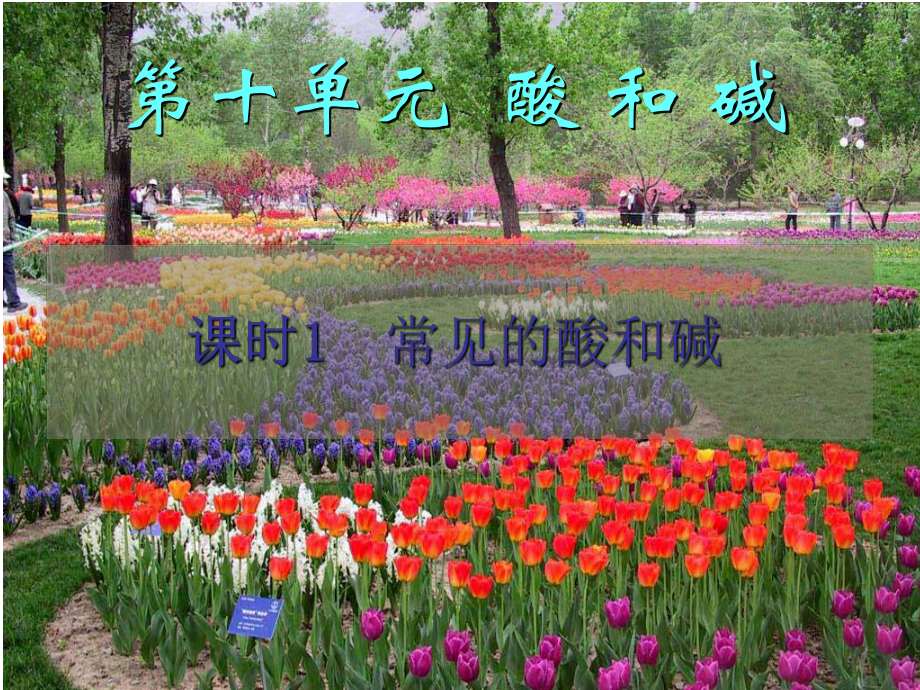 第十单元课题1常见的酸和碱第一课时课件精品教育.ppt_第2页