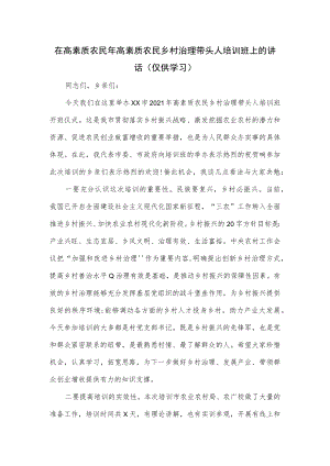 在高素质农民年高素质农民乡村治理带头人培训班上的讲话.docx