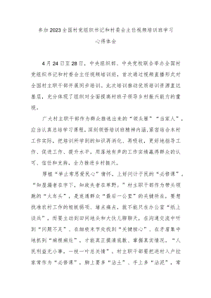 参加2023全国村党组织书记和村委会主任视频培训班学习心得体会2篇.docx