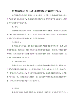 东方猫猫毛怎么清理 教你猫毛清理小技巧.docx