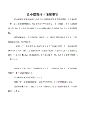 给小猫剪指甲注意事项.docx