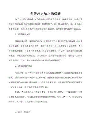 冬天怎么给小猫保暖.docx