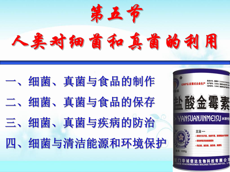 第四章第五节人类对细菌和真菌的利用精品教育.ppt_第2页
