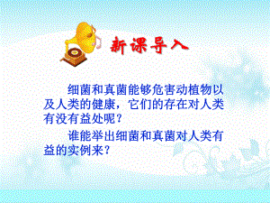 第四章第五节人类对细菌和真菌的利用精品教育.ppt