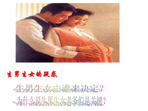 第四节人的性别遗传精品教育.ppt