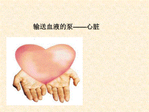 第四章输送血液的泵心脏精品教育.ppt