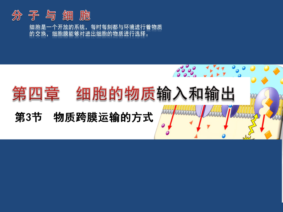 第四章第三节物质的跨膜运输的方式精品教育.ppt_第1页
