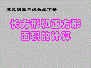 第四课时面积的计算精品教育.ppt