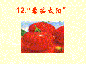 番茄太阳课件精品教育.ppt